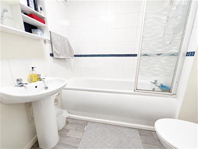 Picture 8